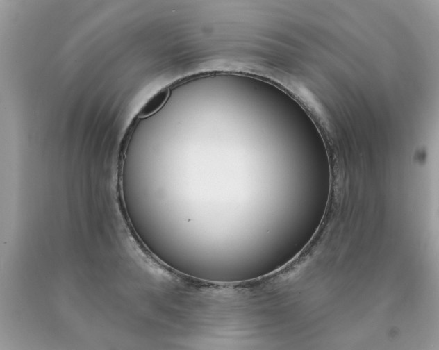 X0000090420896200707272108