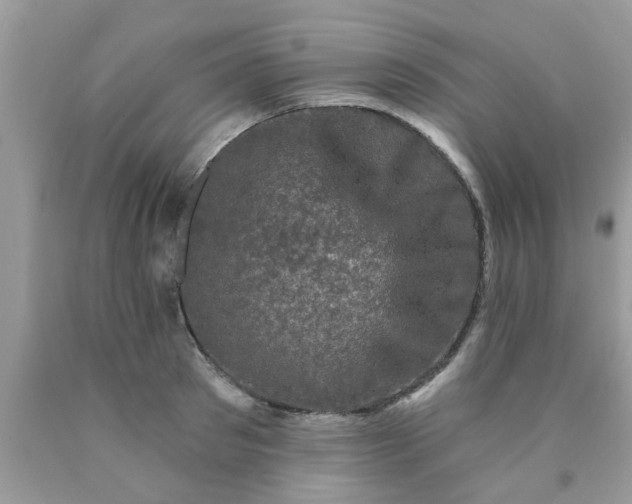 X0000090420897200707272108