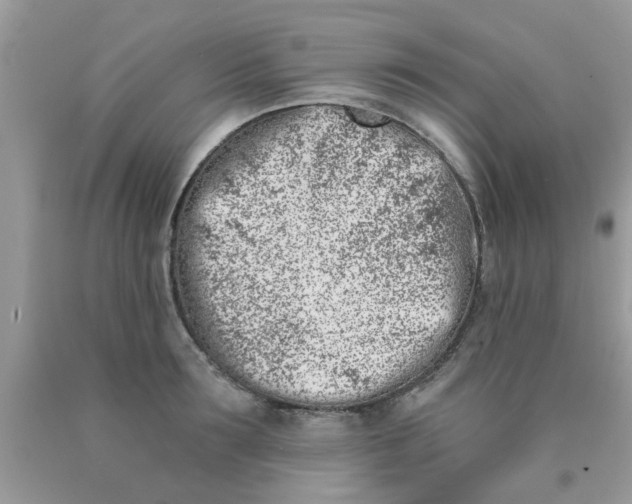 X0000090420899200707272108