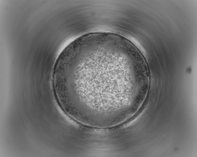 X0000090420901200707272108