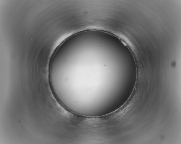 X0000090420902200707272108