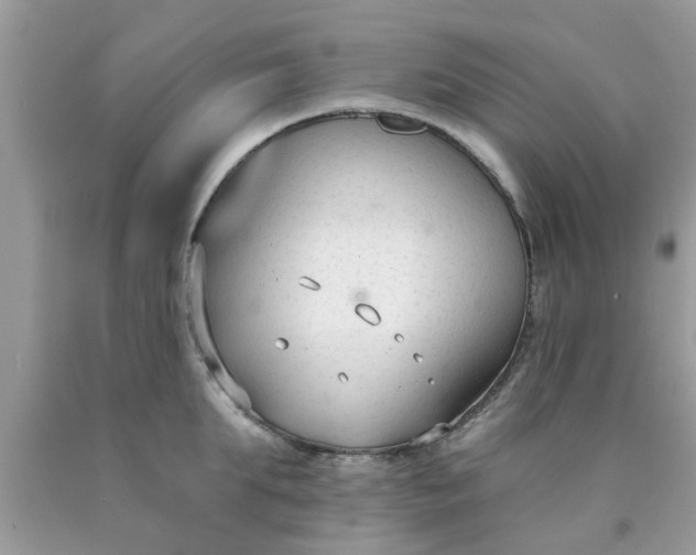 X0000090420903200707272108