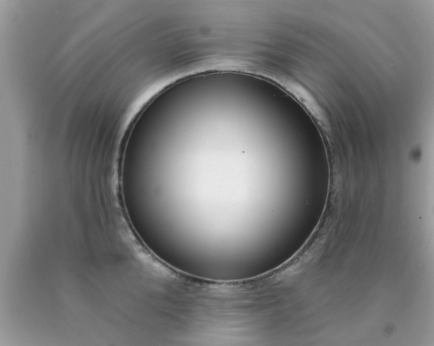 X0000090420904200707272108