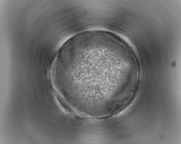 X0000090420905200707272108