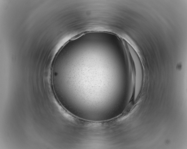 X0000090420909200707272108