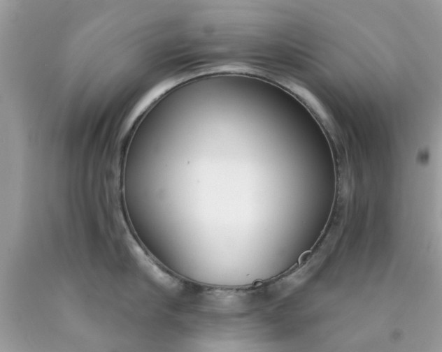 X0000090420910200707272108