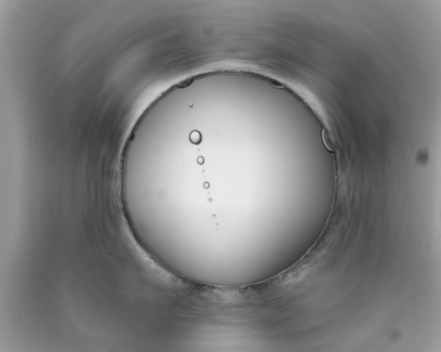 X0000090420911200707272108