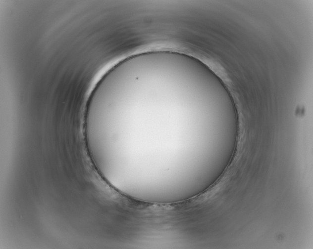 X0000090420912200707272108