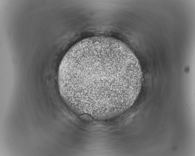 X0000090420913200707272107