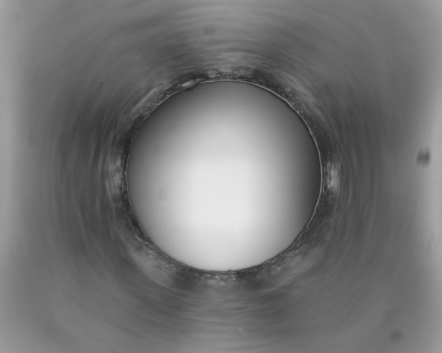 X0000090420915200707272107