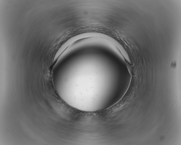 X0000090420916200707272107