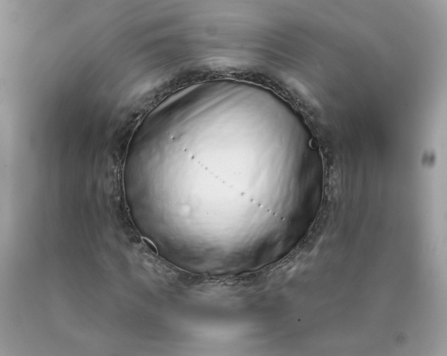 X0000090420917200707272107