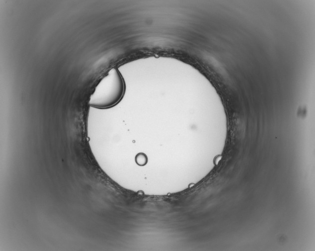 X0000090420918200707272107