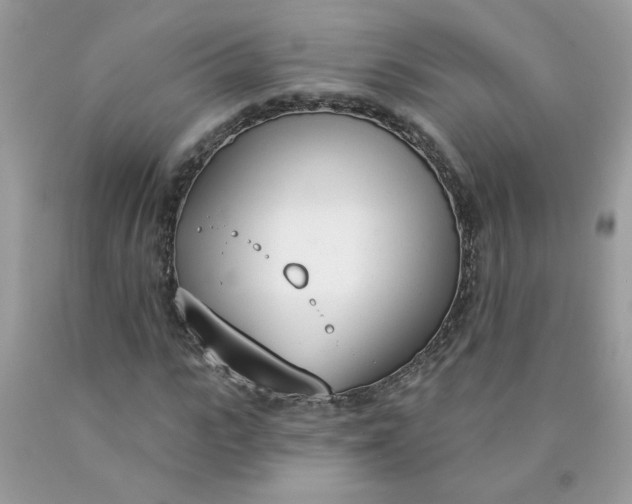 X0000090420919200707272107