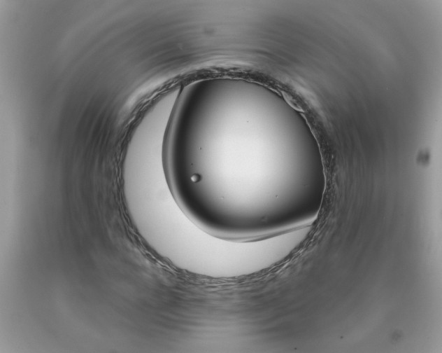 X0000090420920200707272107