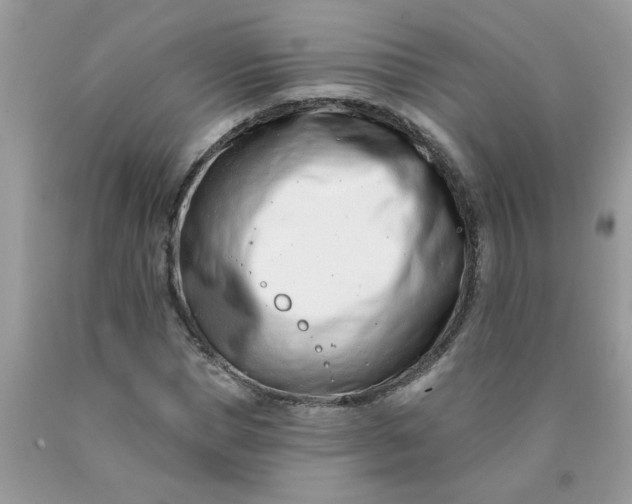 X0000090420921200707272107