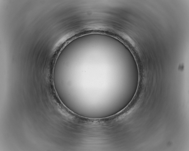 X0000090420922200707272107