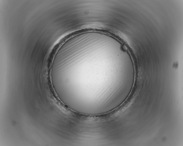 X0000090420923200707272107