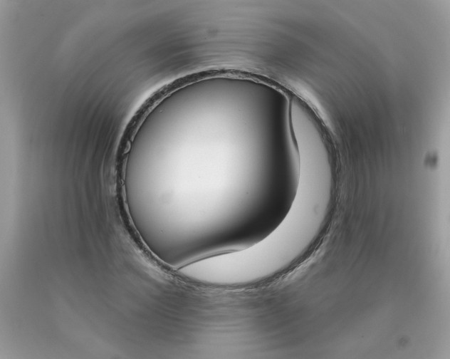 X0000090420924200707272107