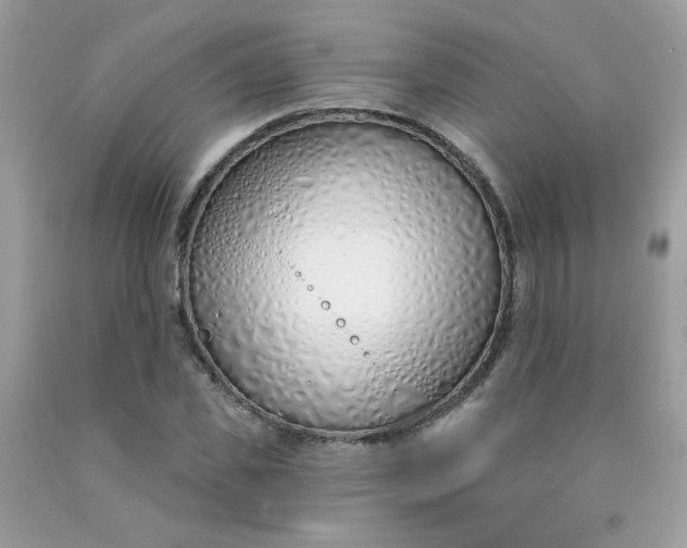 X0000090420925200707272107