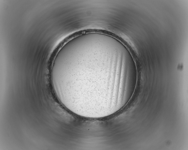 X0000090420926200707272107