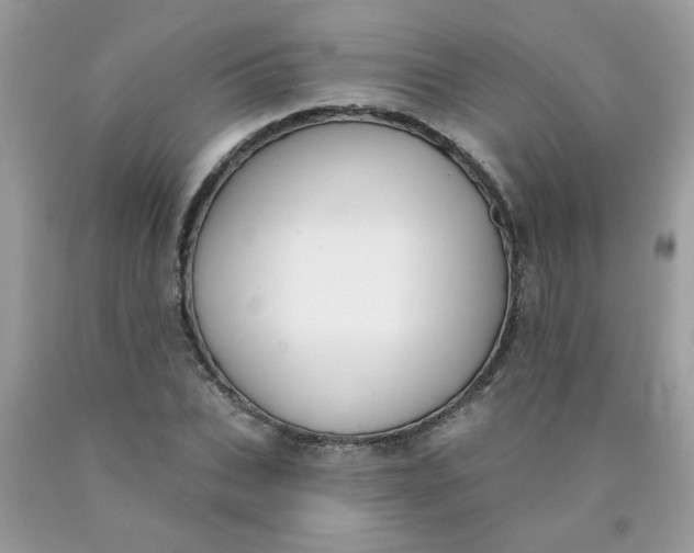 X0000090420927200707272107