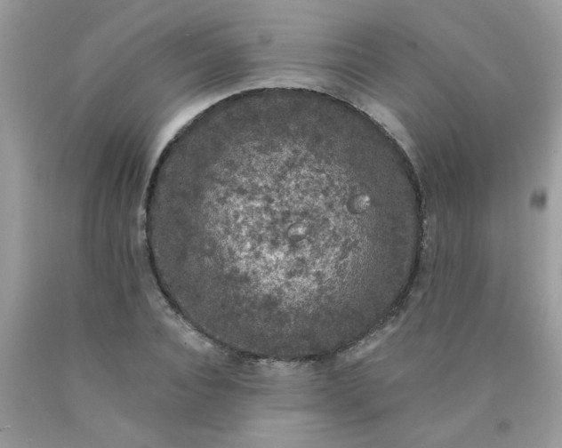 X0000090420928200707272107