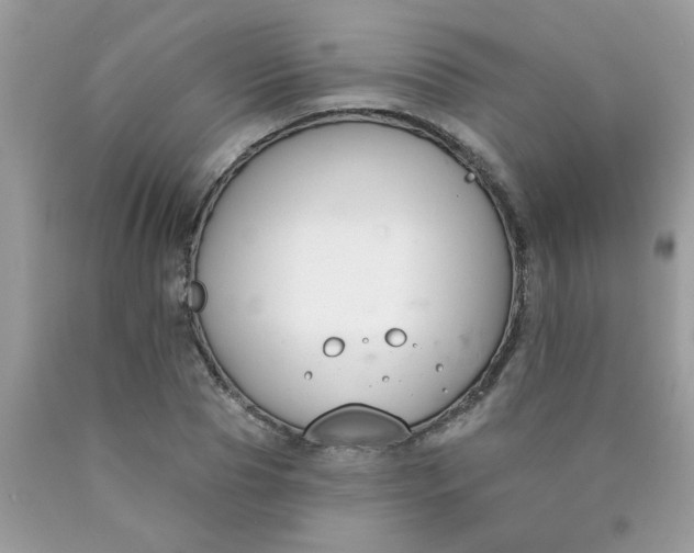 X0000090420929200707272107