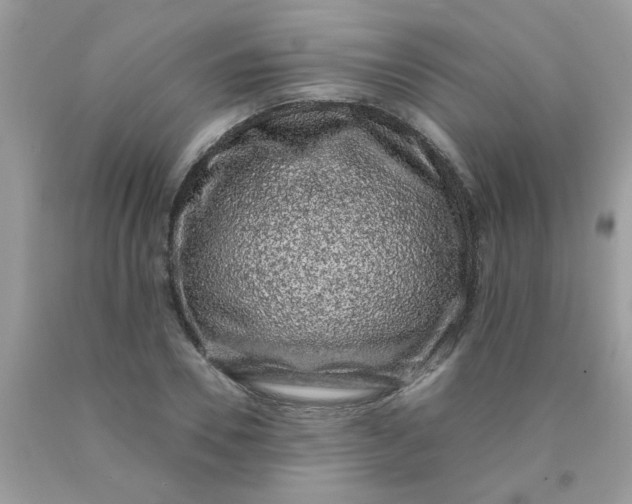 X0000090420930200707272107