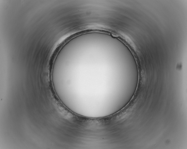 X0000090420931200707272107