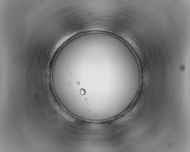 X0000090420933200707272107