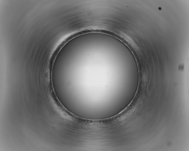 X0000090420934200707272107