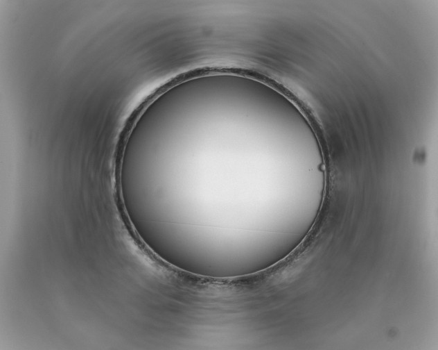 X0000090420935200707272107