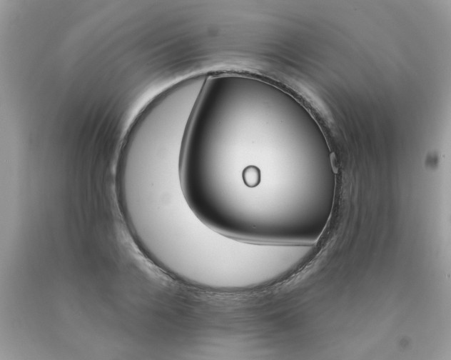 X0000090420936200707272107