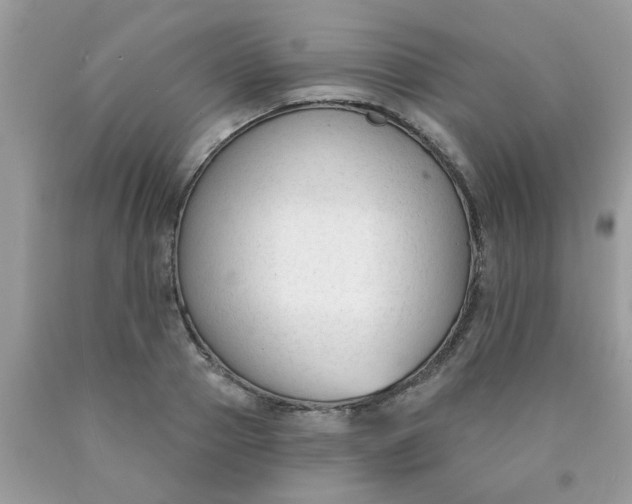 X0000090420937200707272107