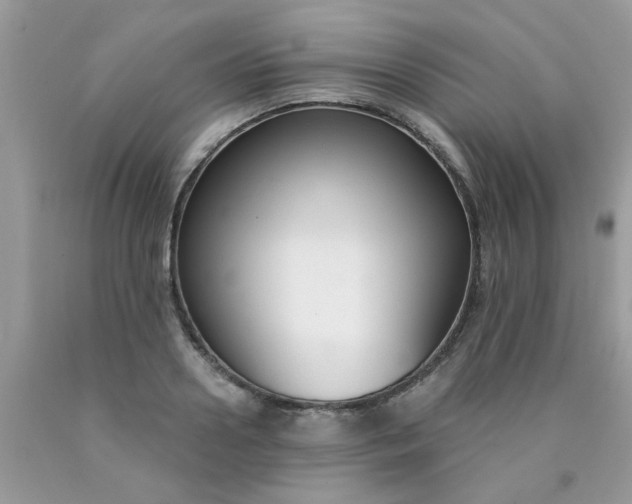 X0000090420938200707272107