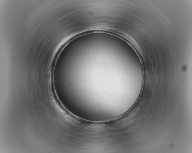 X0000090420939200707272107