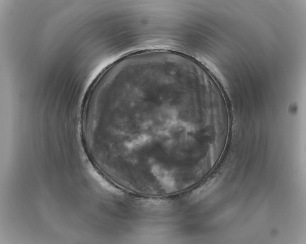 X0000090420941200707272107