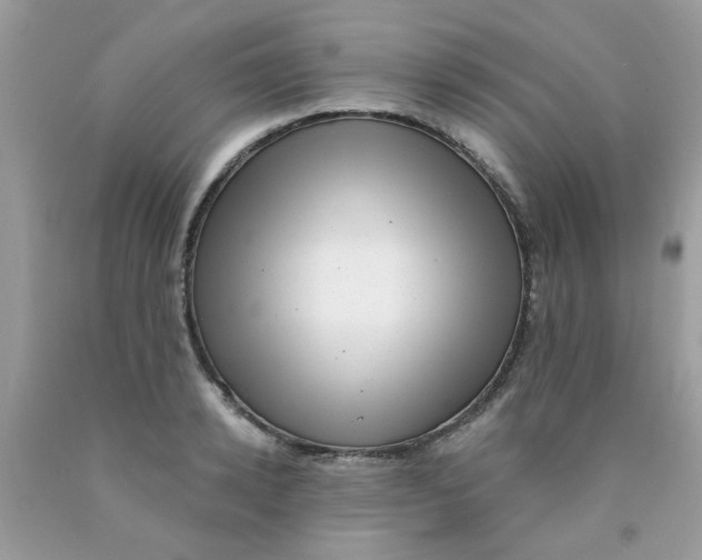 X0000090420942200707272107