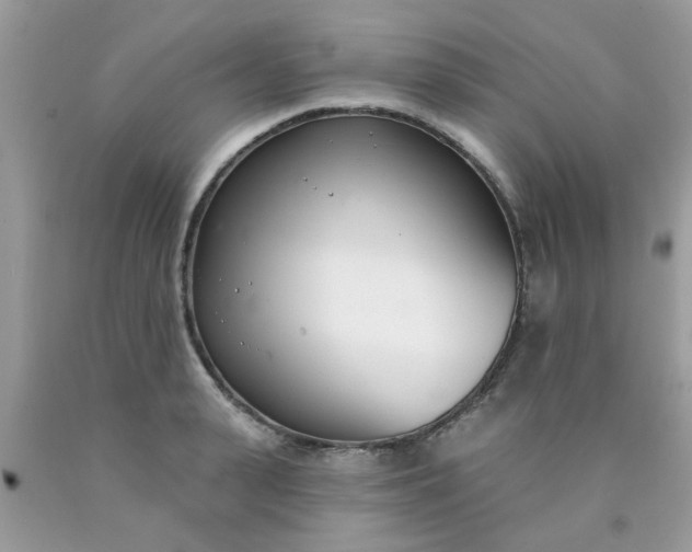 X0000090420943200707272107