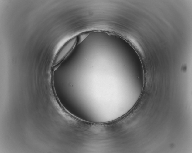 X0000090420944200707272108