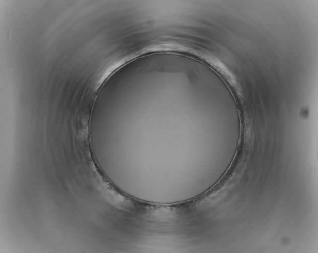 X0000090420945200707272108