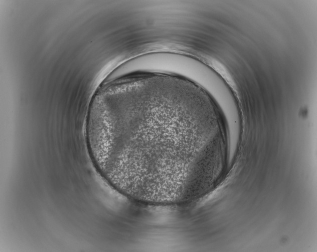 X0000090420946200707272108