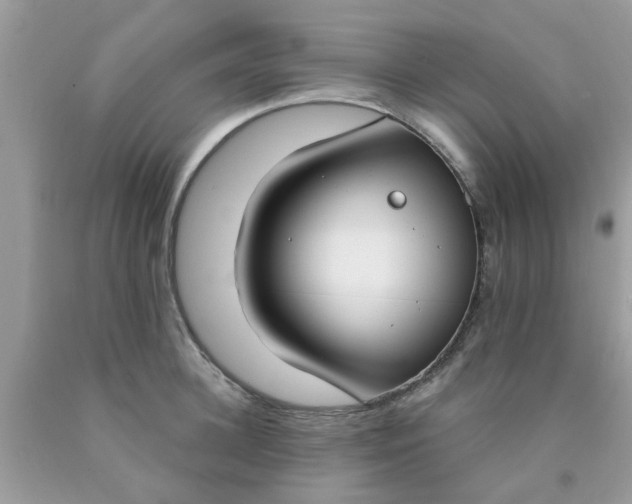 X0000090420948200707272108