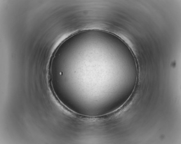 X0000090420949200707272108