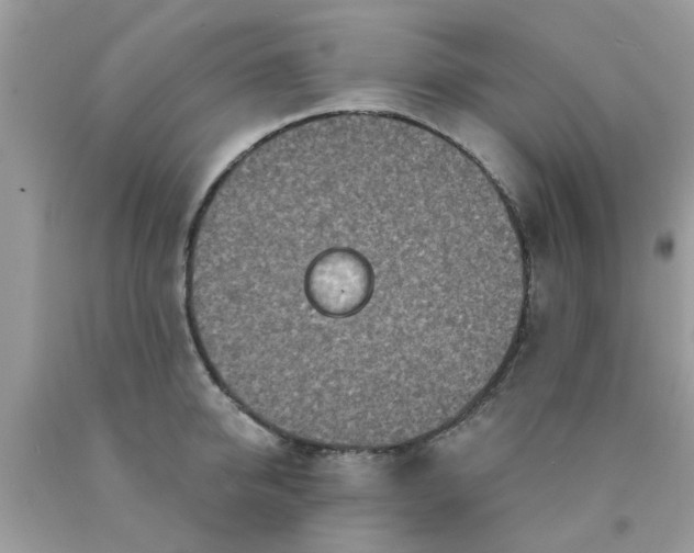 X0000090420950200707272108