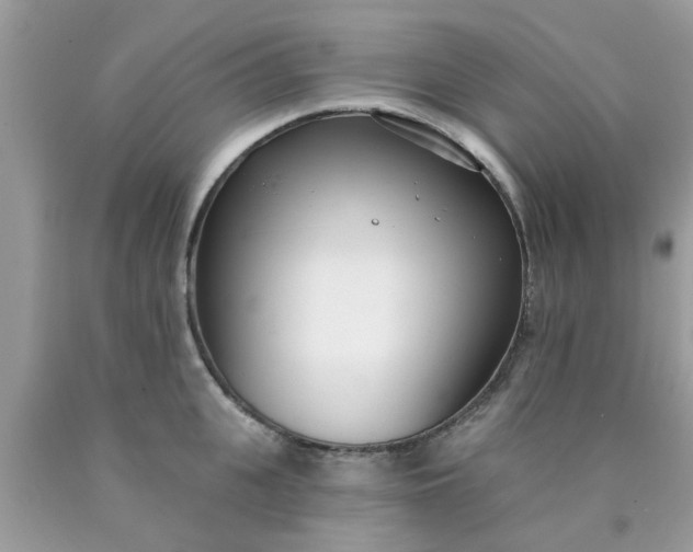 X0000090420951200707272108