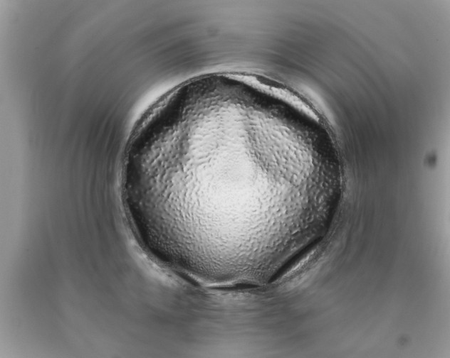 X0000090420952200707272108