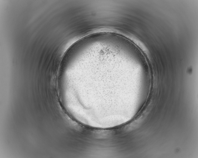 X0000090420953200707272108