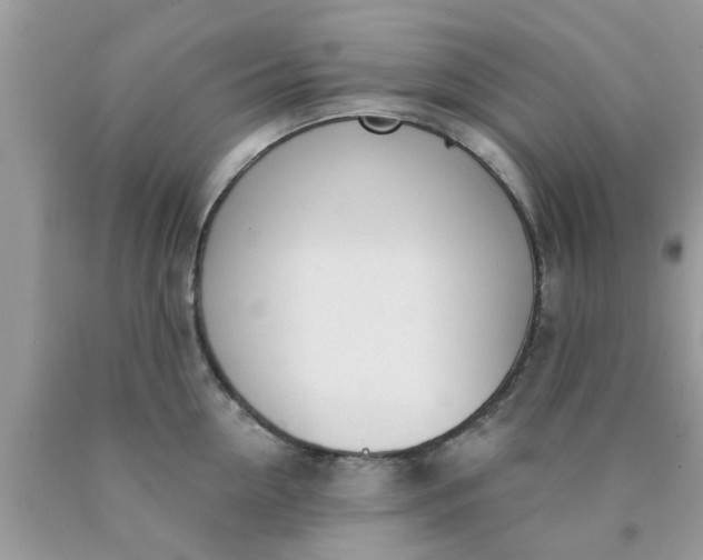 X0000090420954200707272108